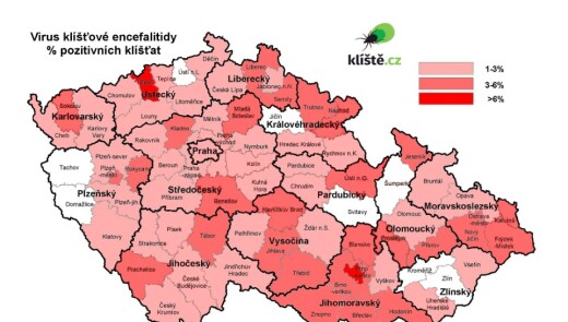 В Чехії оголошено найвищий п'ятий рівень кліщової небезпеки
