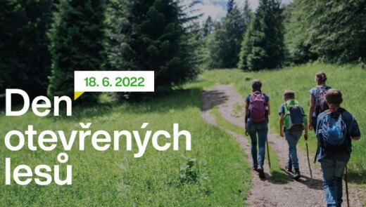 В Чехії запрошують на прогулянки лісом з лісовниками на День відкритих лісів