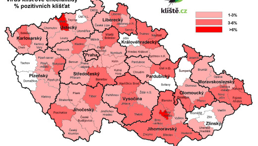В Чехії зросла кількість випадків інфікування кліщовим енцефалітом