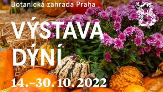 В ботсаду Праги відкрилась виставка гарбузів та стартував конкурс на найбільший гарбуз