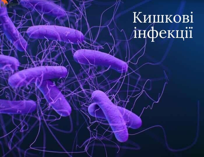 Гострі кишкові інфекції – що це таке? | Новини | Rádio Ukrajina